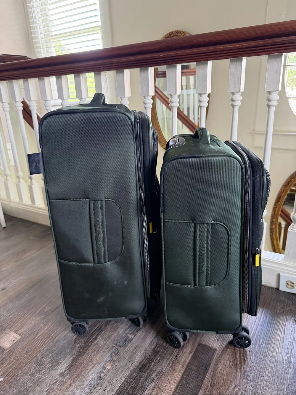 Delsey Paris Dark Green Medium Check-In and Carry-On Luggage